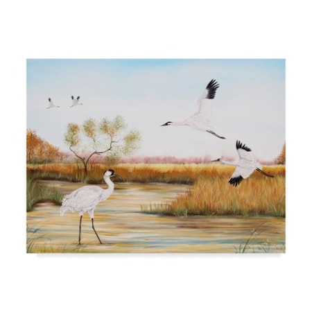 Jean Plout 'Whooping Cranes' Canvas Art,24x32